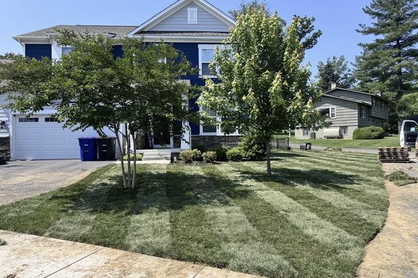 top-rated-lawn-care-services-in-leesburg-va-green-garden-area