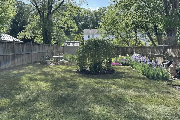 top-rated-trimming-services-in-leesburg-va-beautiful-garden-view